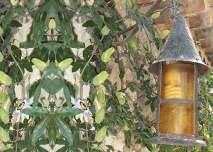 Mas Bella Cortis Bed & Breakfast La Garde Adhemar Ngoại thất bức ảnh